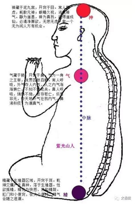 玄關竅位置|道教丹道秘旨——玄關一竅是什麼？